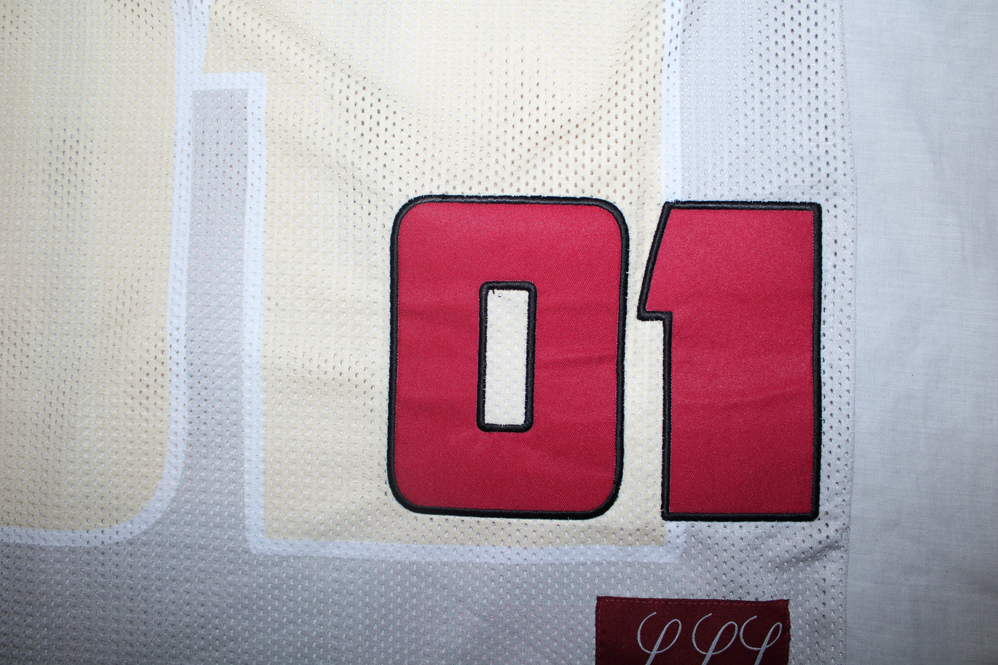 TWIYC oversized baseball jersey
