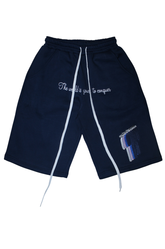 TWIYTC navy blue shorts